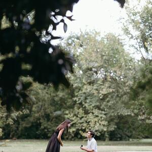 Gallery Photo 27