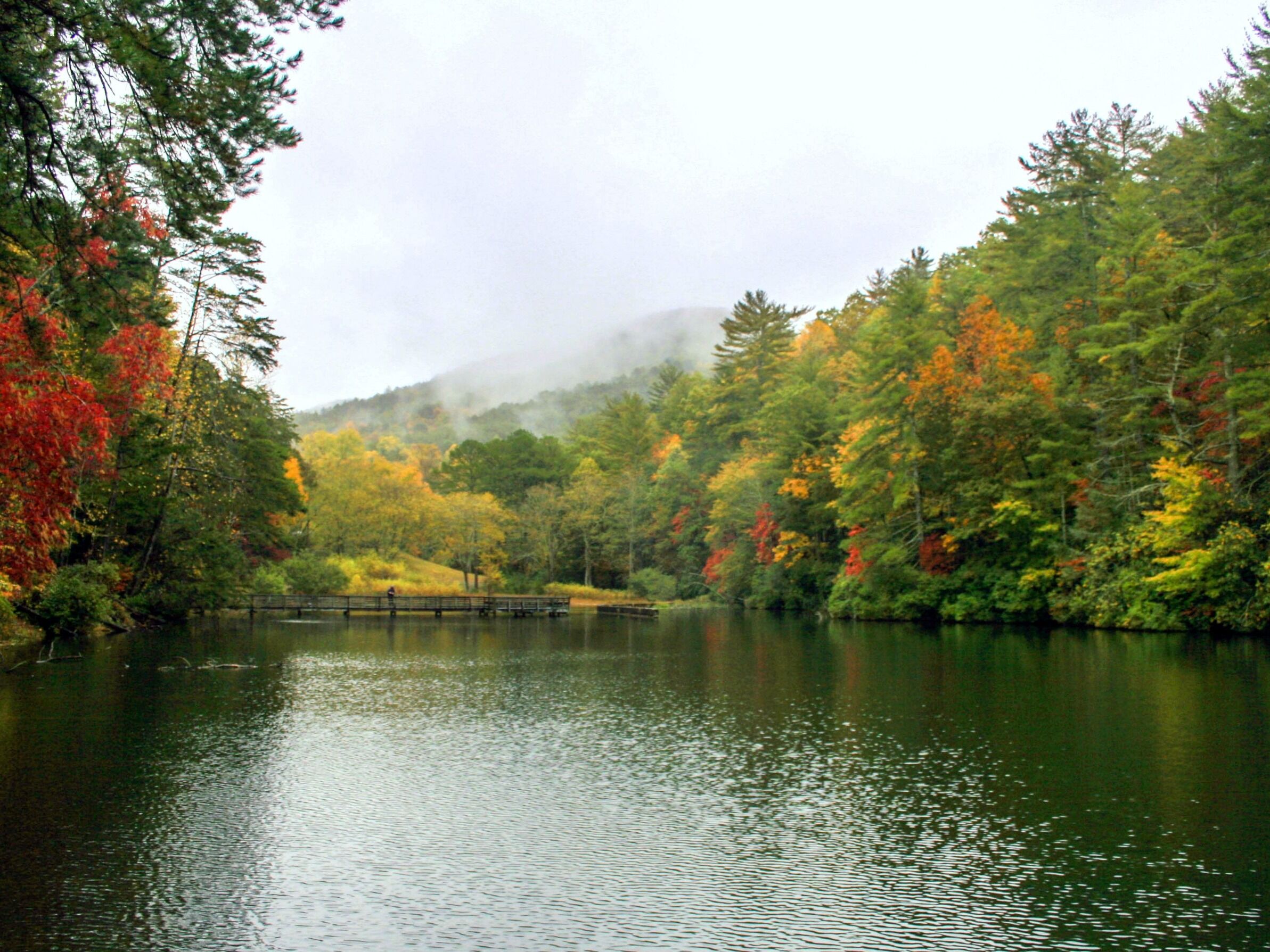 Picture of Unicoi State Park & Lodge
