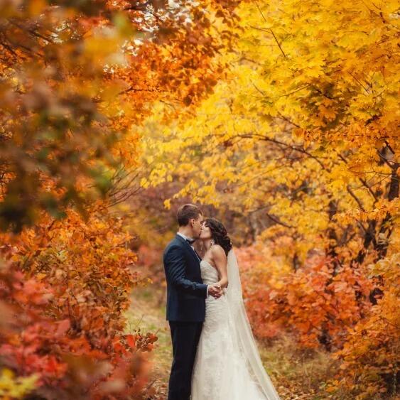Picture of Elopement to the Smoky Mountains