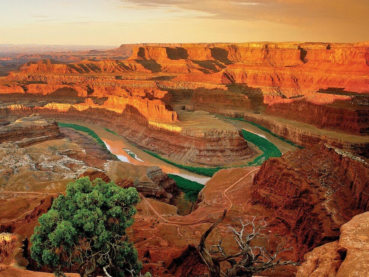 Picture of Dead Horse Point State Park