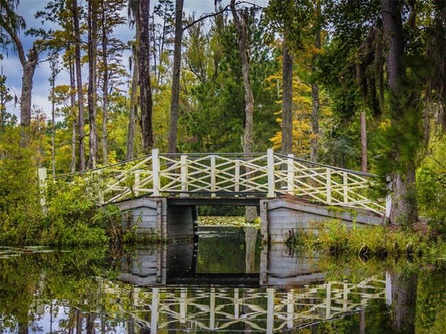 Picture of Cypress Gardens