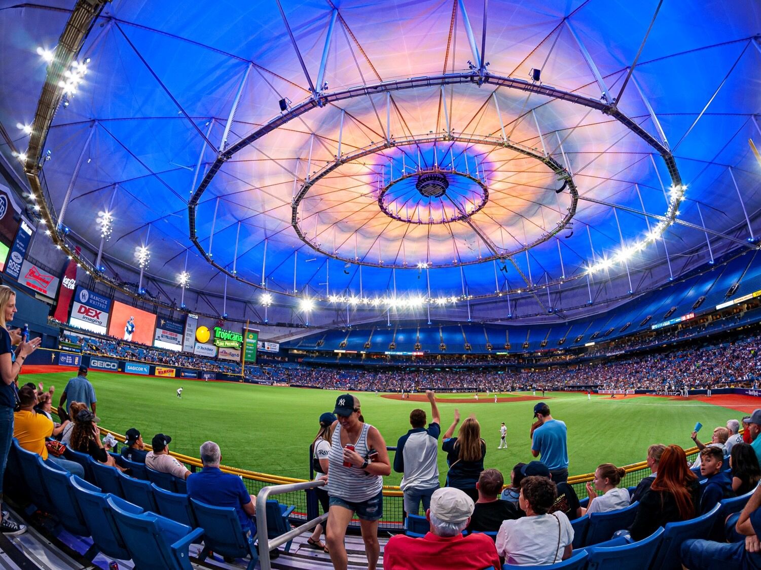 Picture of Tropicana Field
