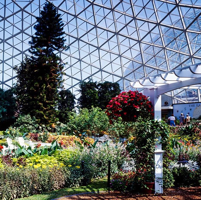 Picture of Mitchell Park Domes Horticulture Conservatory