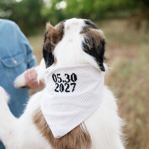 Gallery Photo 9