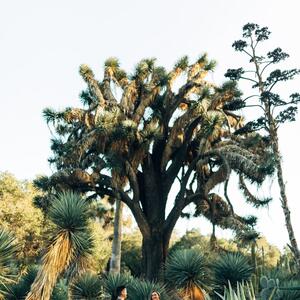 Gallery Photo 20
