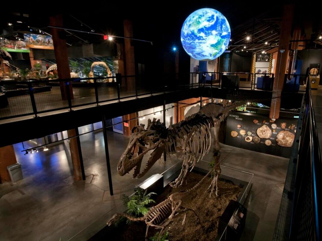 Picture of Houston Museum of Natural Science