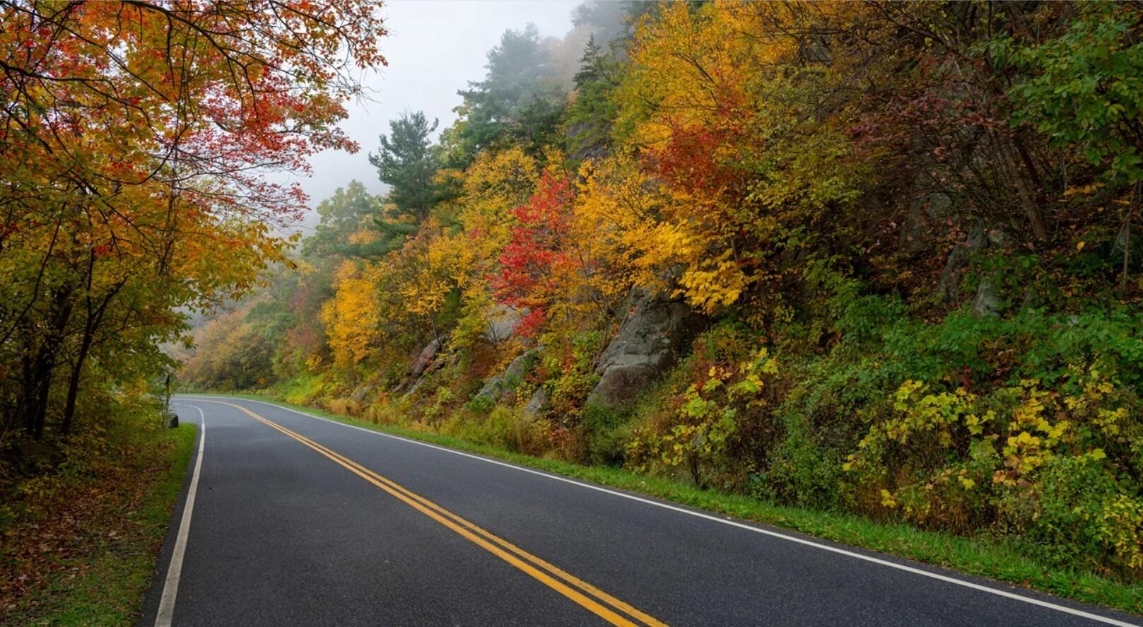 Picture of Skyline Drive