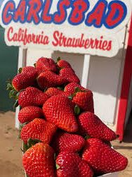 Picture of Carlsbad Strawberry Company