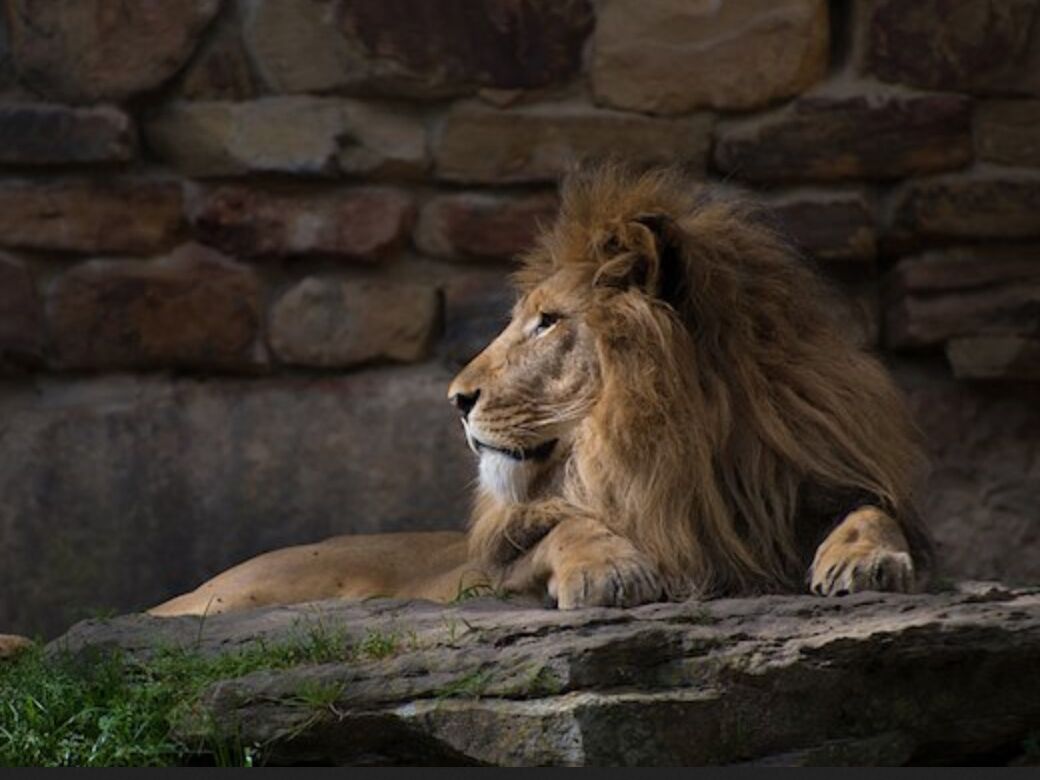 Picture of Fort Worth Zoo