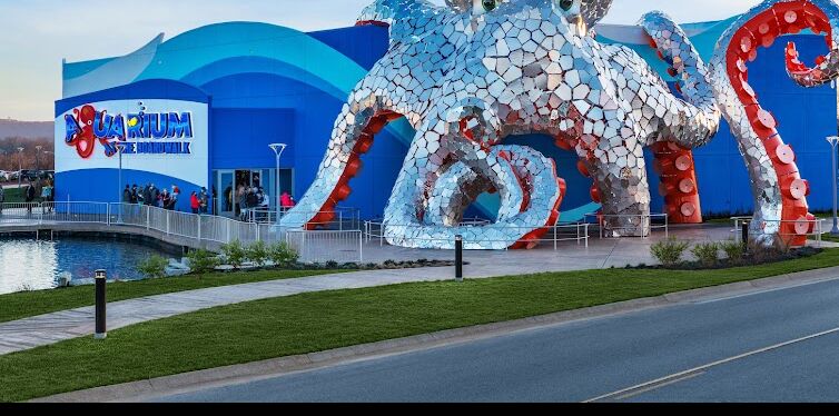 Picture of Aquarium At The Boardwalk