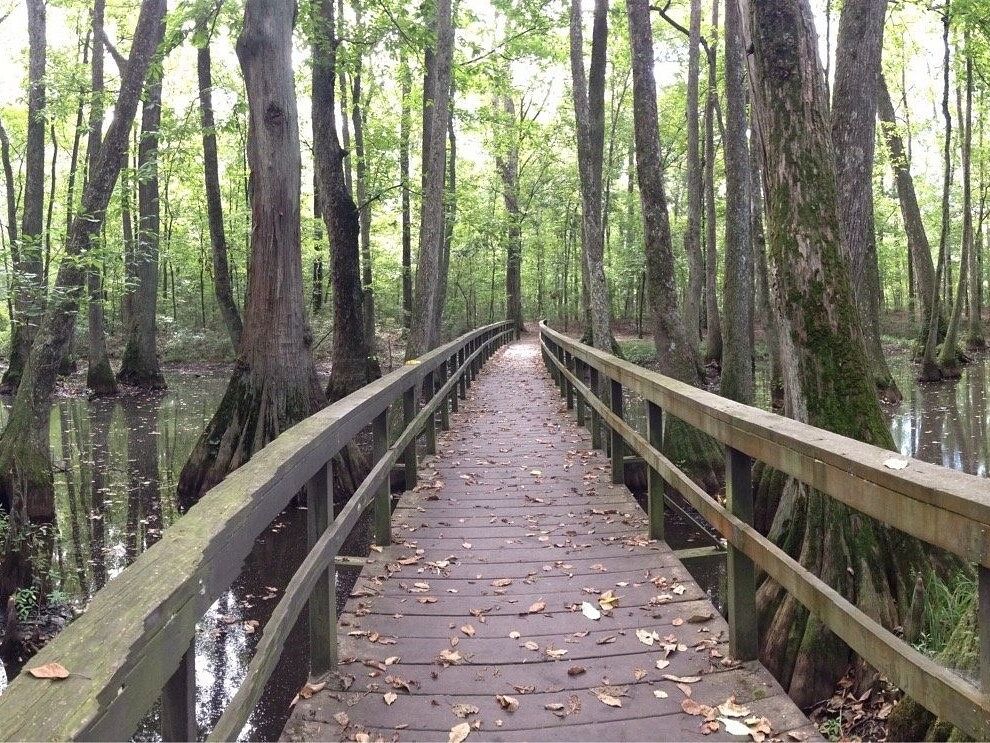 Picture of Natchez Trace Parkway Visitor Center