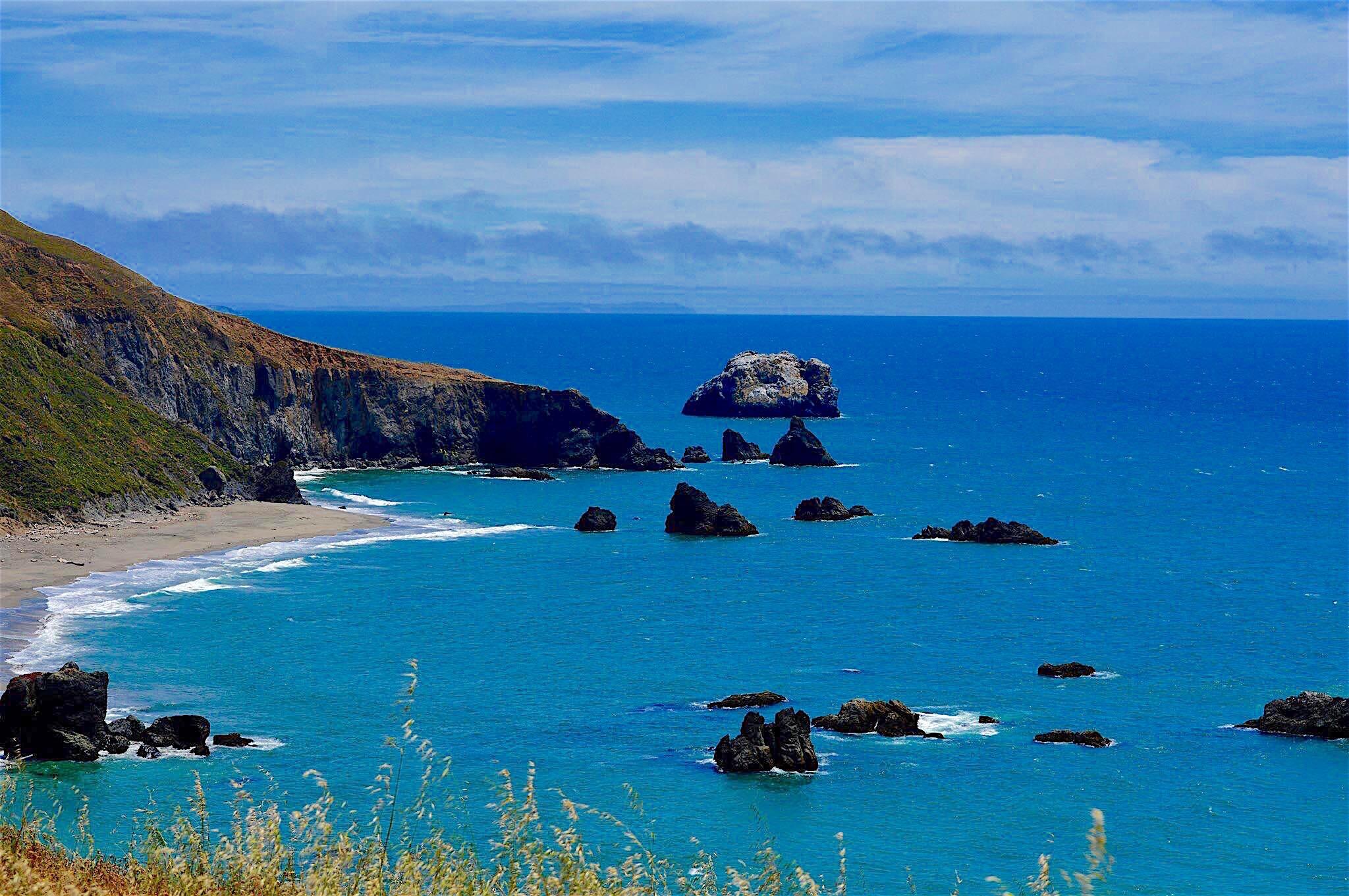 Picture of Bodega Bay 