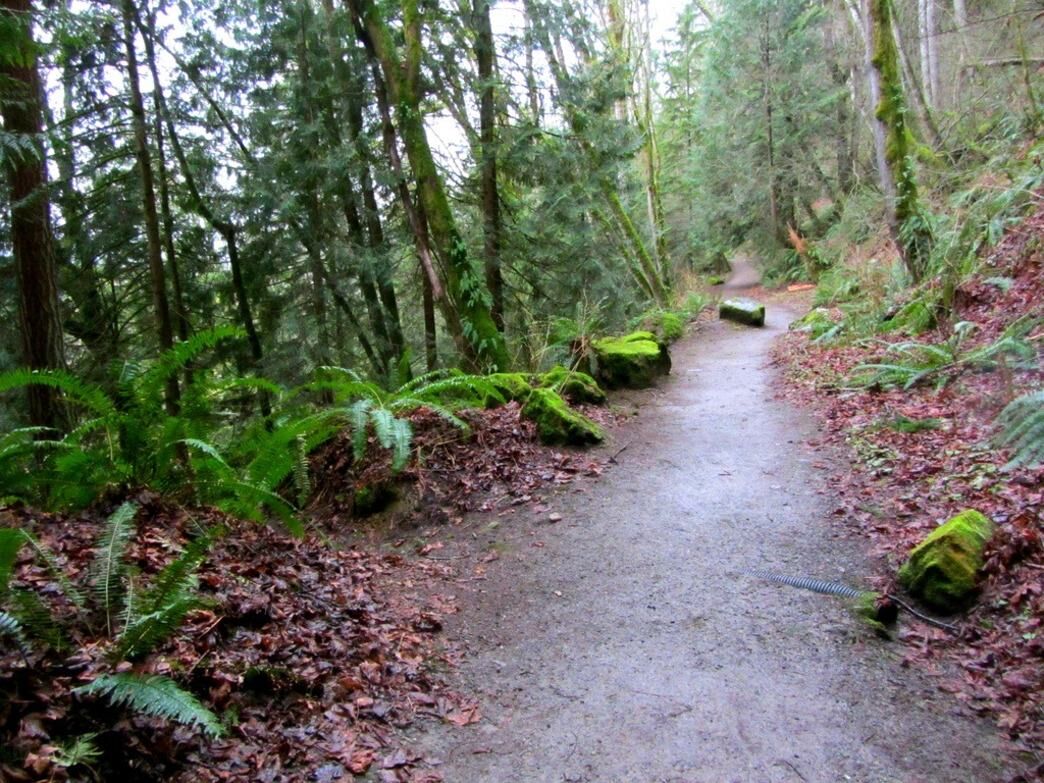 Picture of Bellingham Parks & Trails