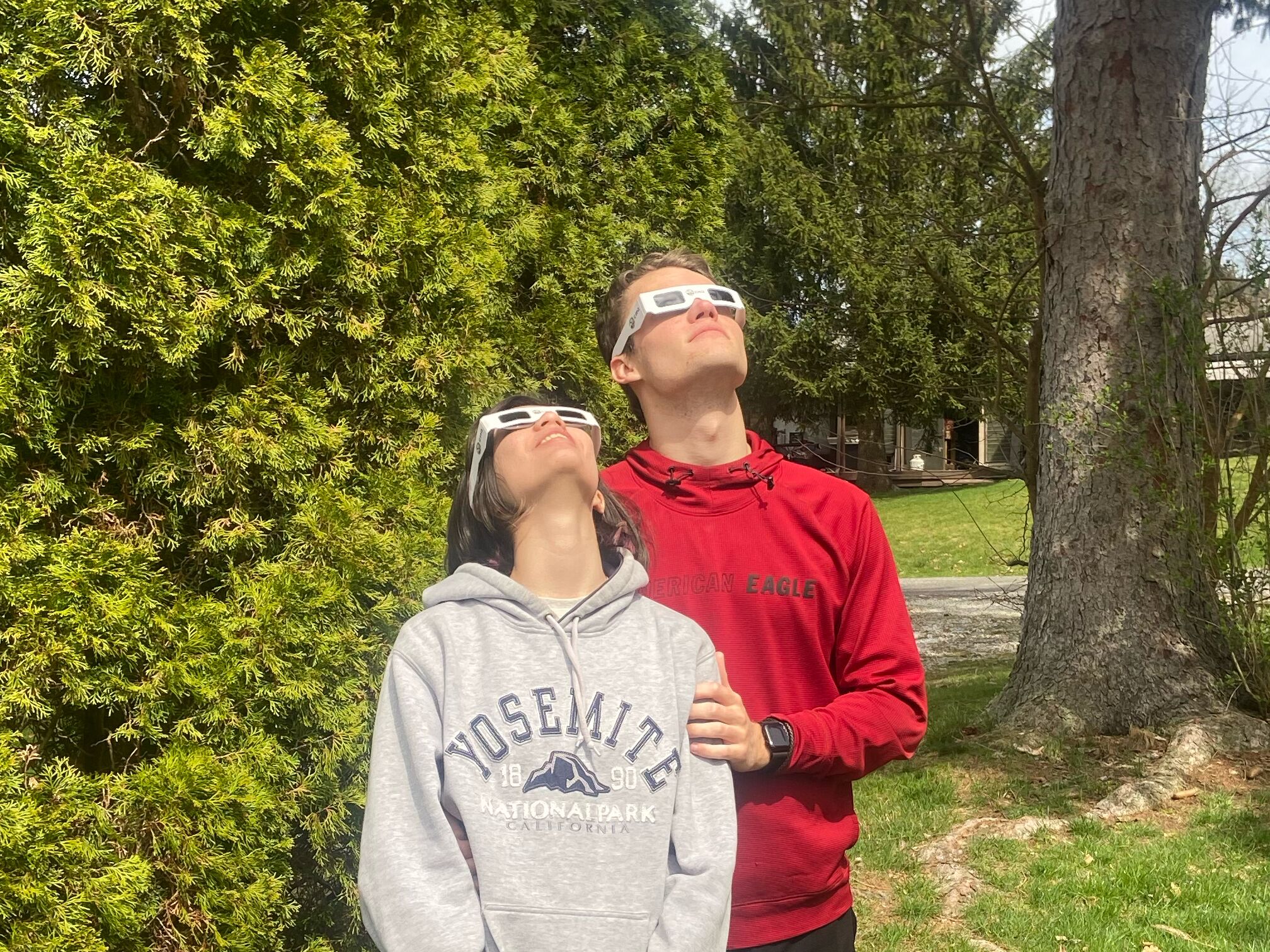 Picture of Eclipse