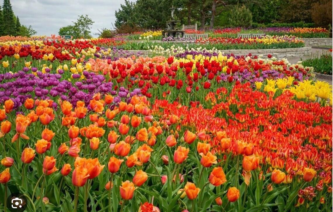 Picture of University of Minnesota Landscape Arboretum