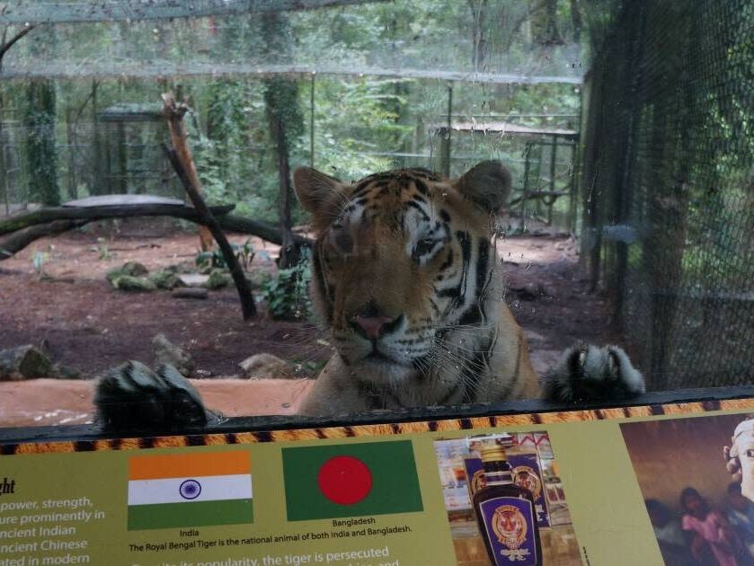 Picture of Tallahassee Museum