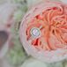 Peonies and Rose Bridal Party Bouquets