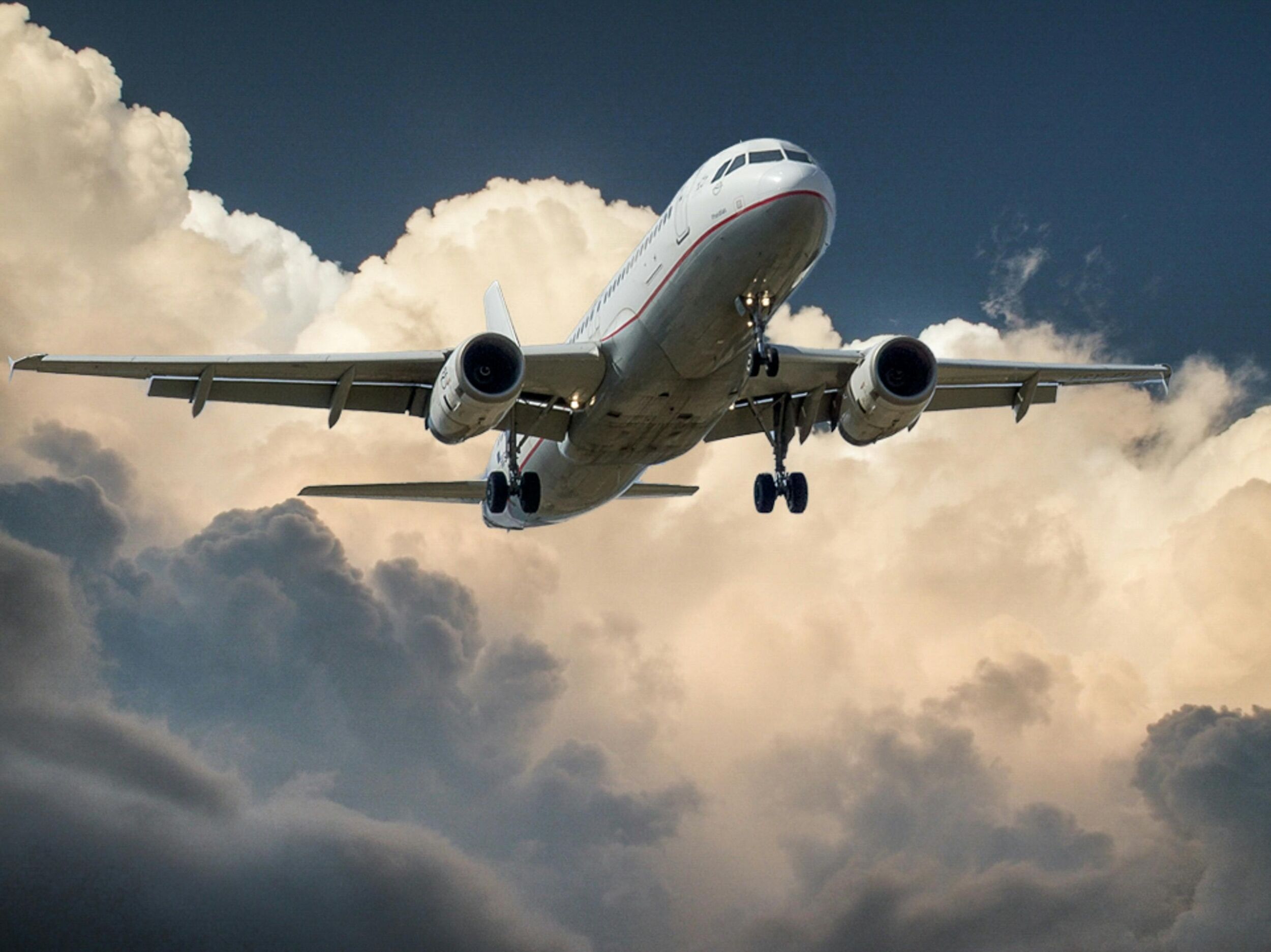 Picture of Orlando International Airport