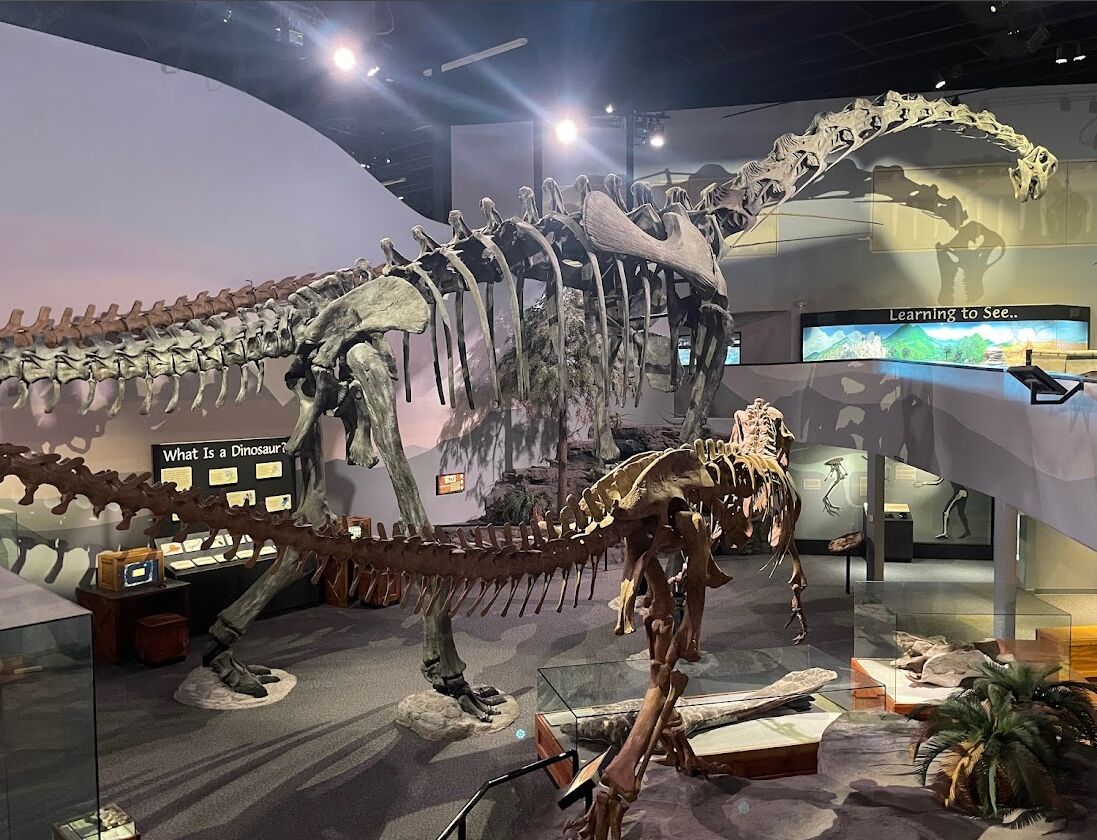 Picture of Mountain America Museum of Ancient Life at Thanksgiving Point