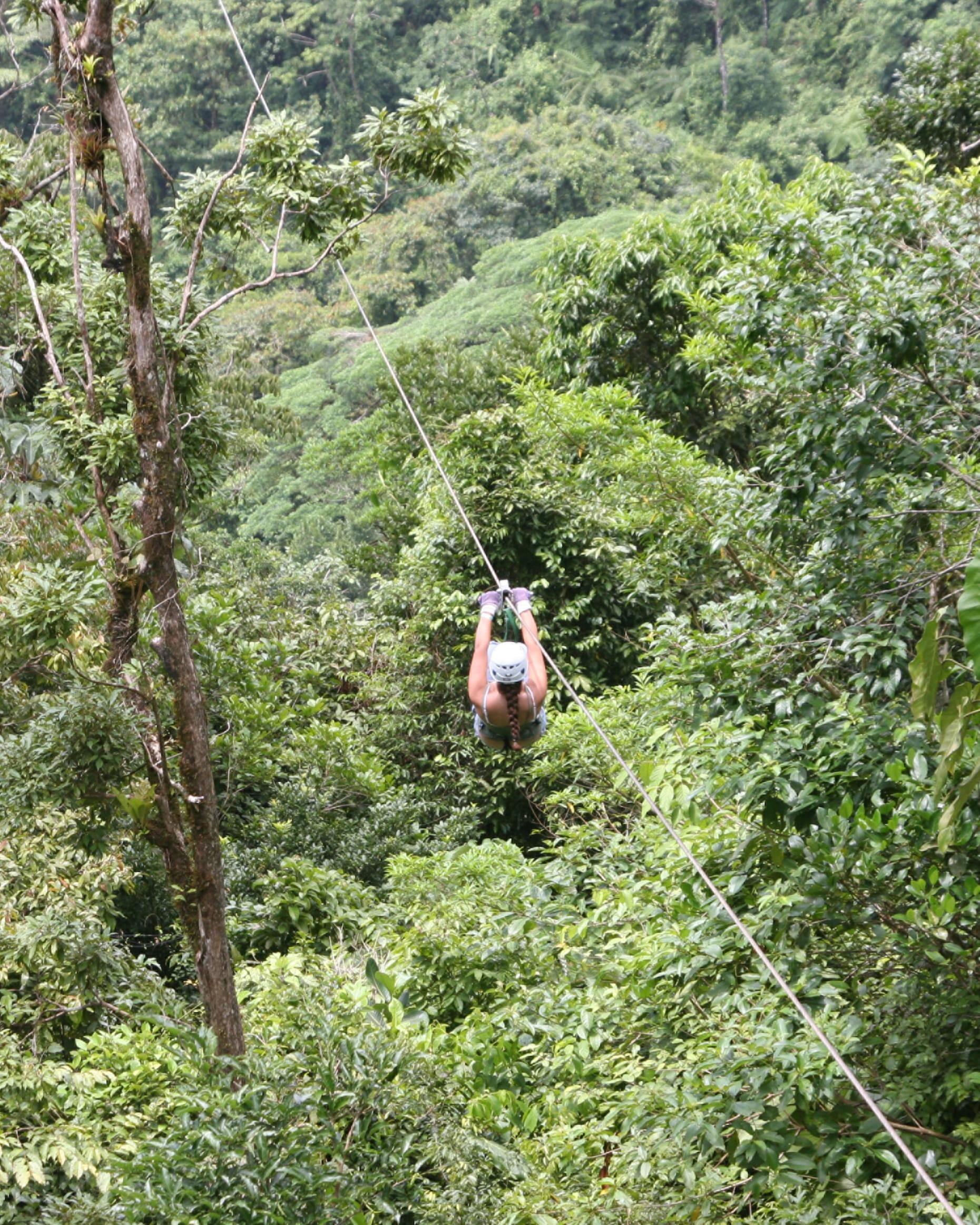 Picture of Zip Lines