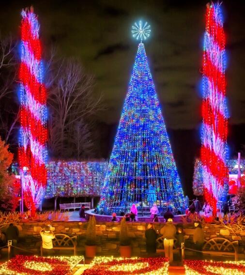 Picture of Winter Lights