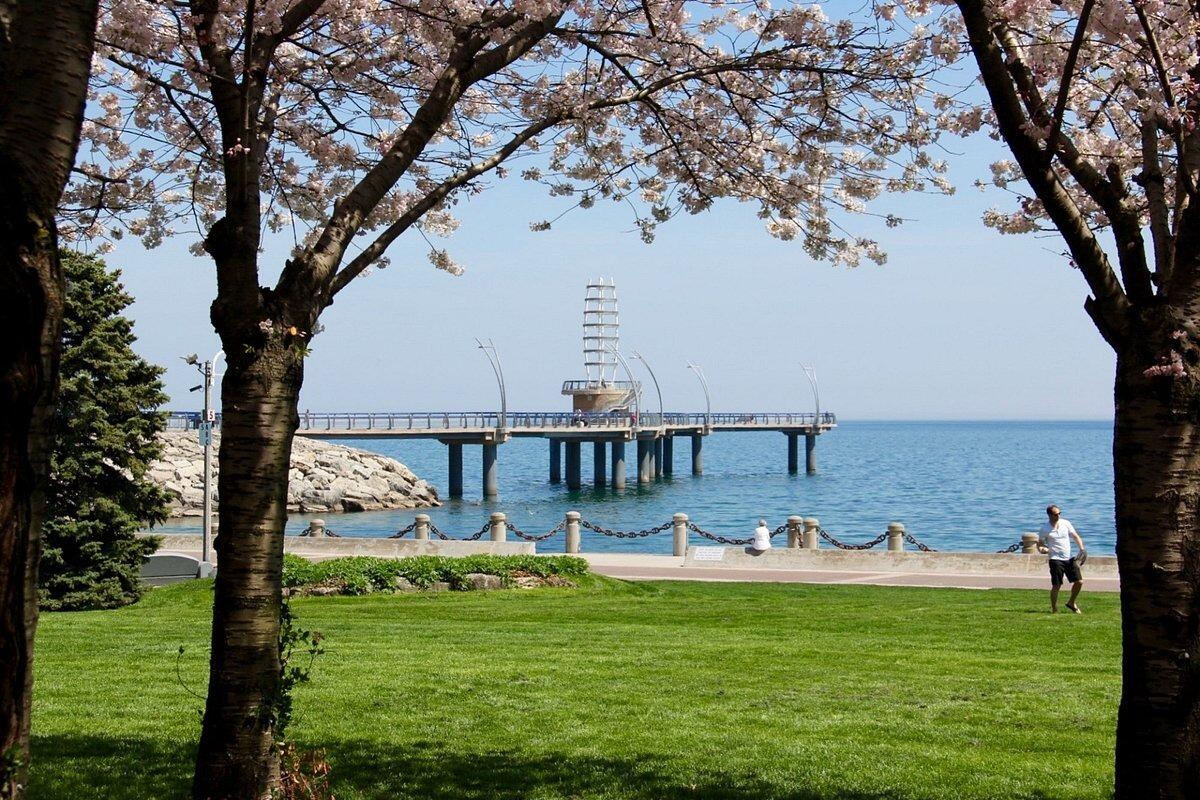 Picture of Spencer Smith Park