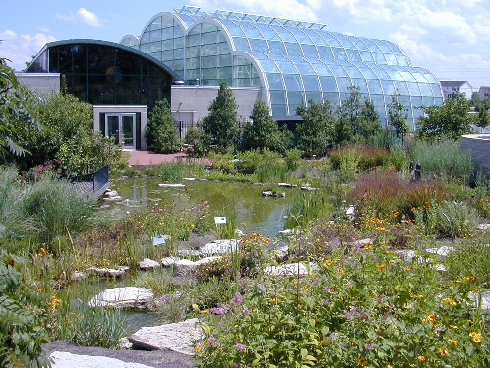 Picture of The Butterfly House