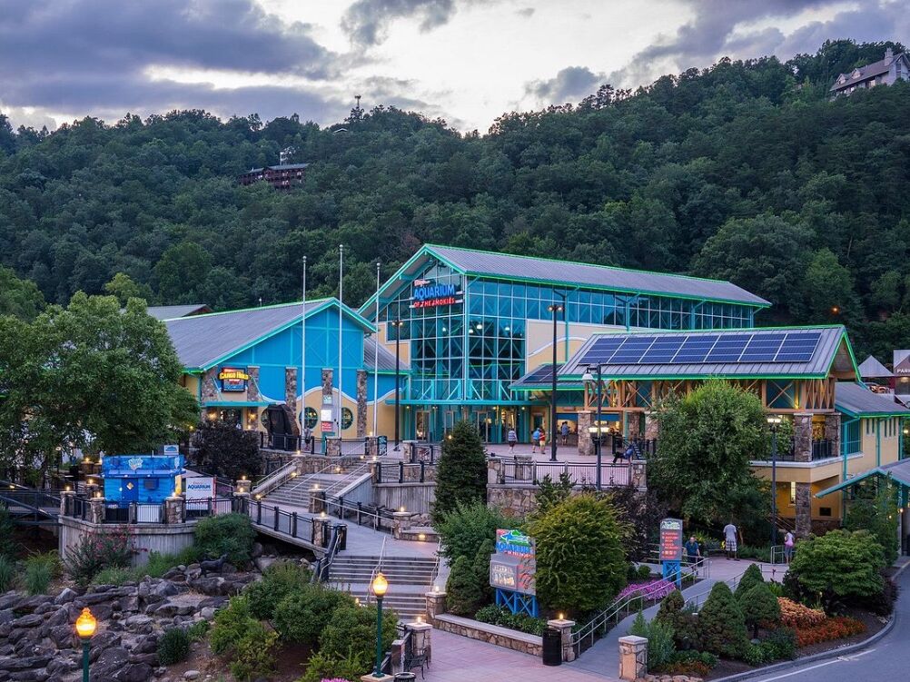 Picture of Ripley's Aquarium of the Smokies