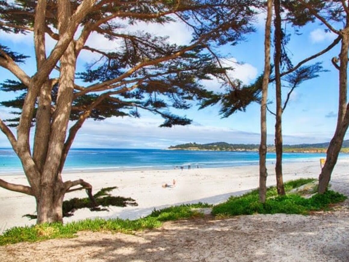 Picture of CARMEL BEACH