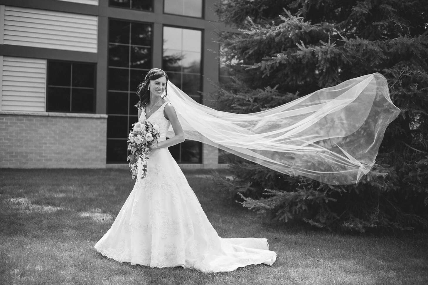 The Bride's V-Neck, A-Line, Lace Wedding Dress and Cathedral-Length Veil
