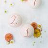 A Love of Soccer Inspired This Peach-Hued Wedding at Park Hyatt Aviara in Carlsbad, California