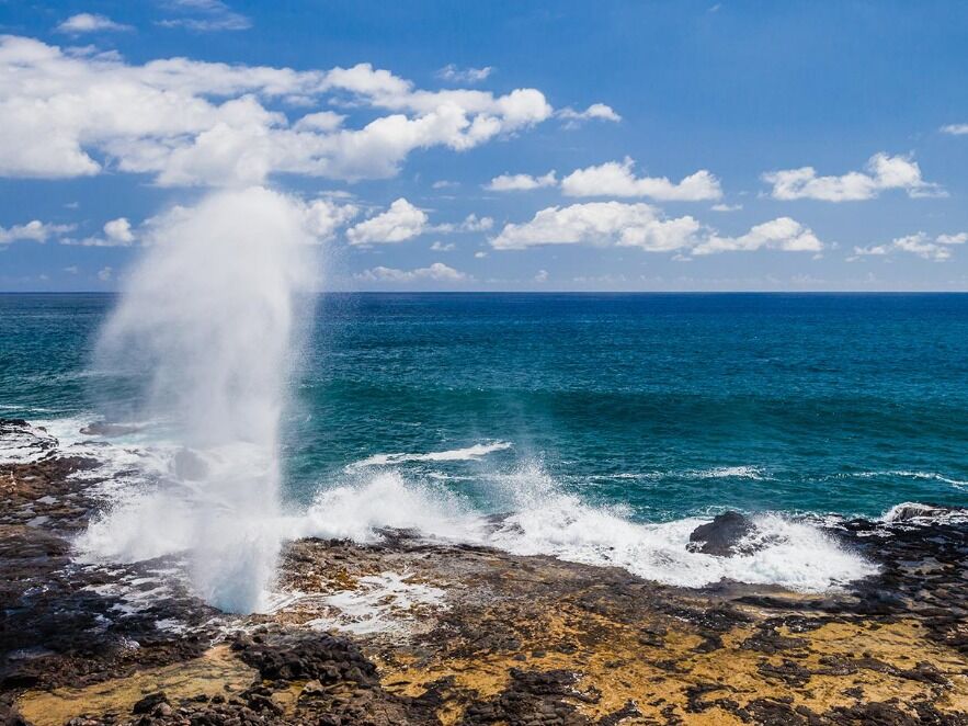 Picture of Spouting Horn Park