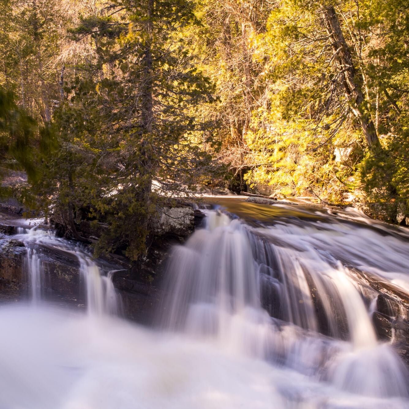 Picture of Parc régional de la chute du Calvaire