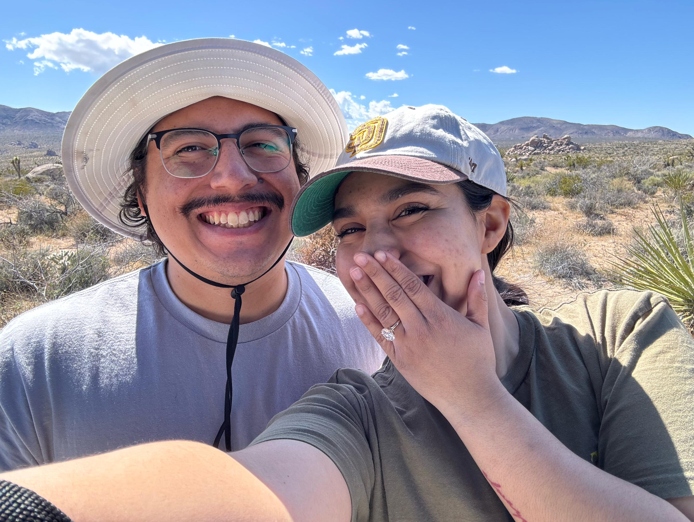 Picture of Sweetwater Summit Regional Park