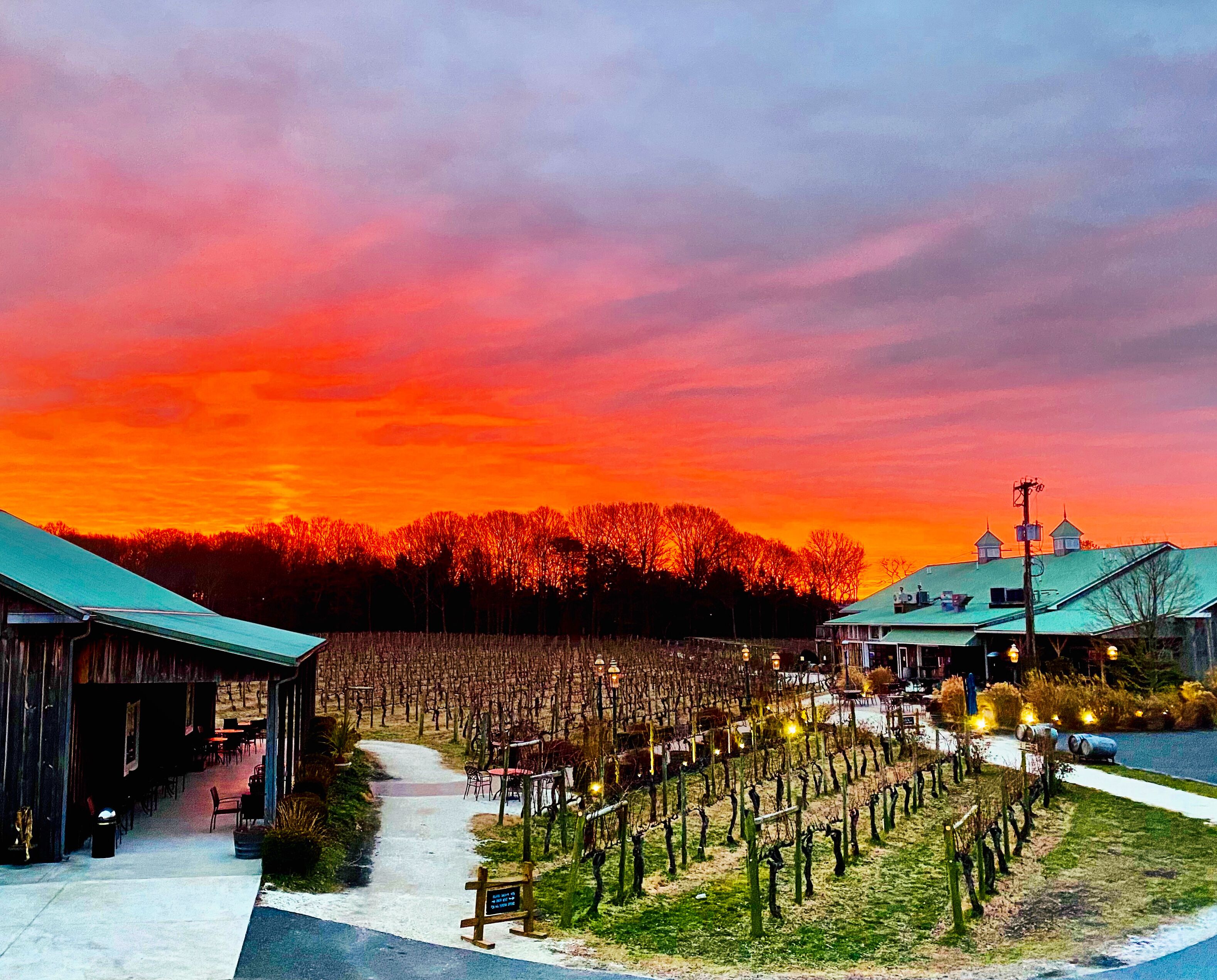Picture of Cape May Winery