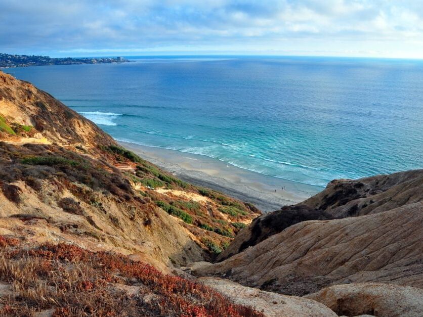 Picture of Beaches