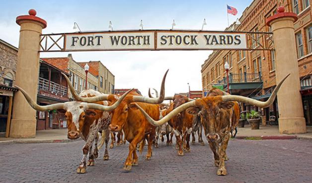 Picture of Fort Worth Stockyards