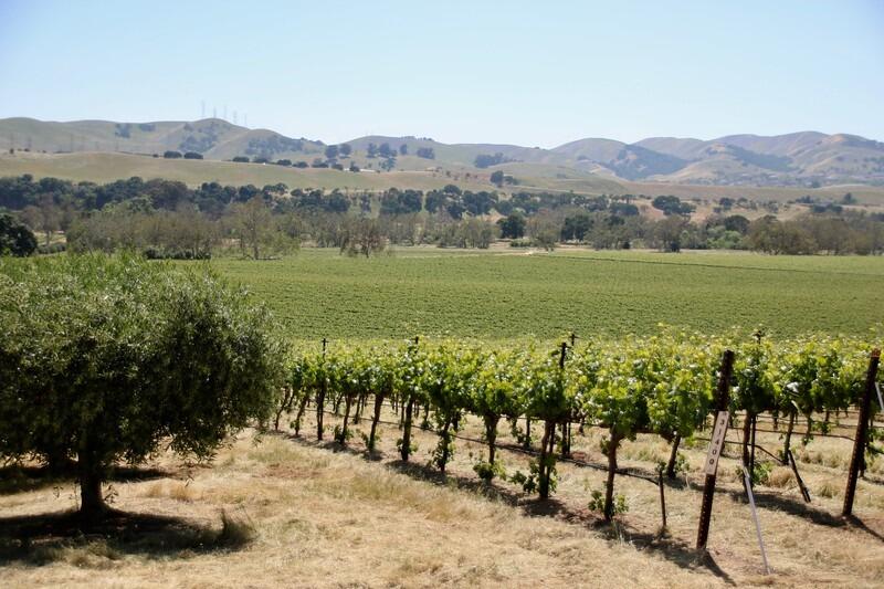 Picture of LIVERMORE VALLEY WINE TRAILS
