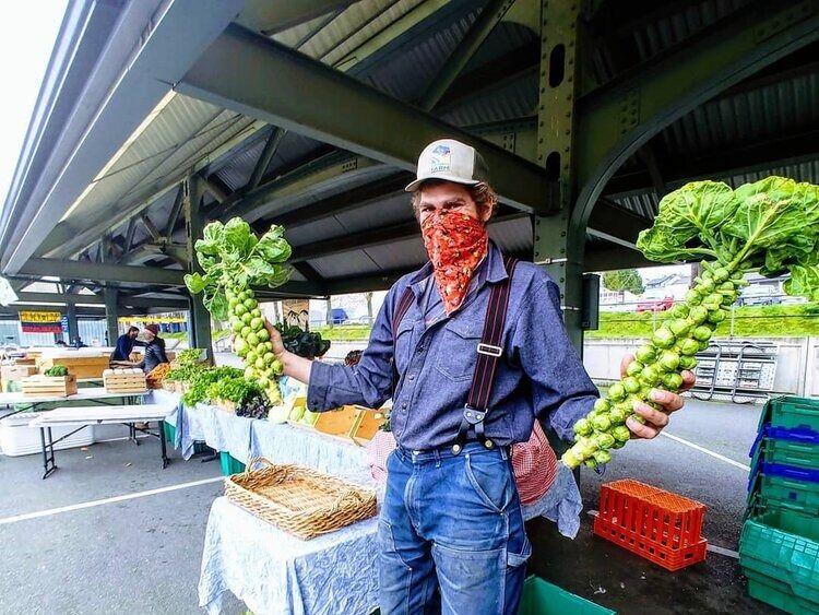 Picture of Bellingham Farmers Market