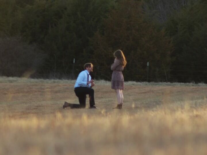 Picture of The Proposal