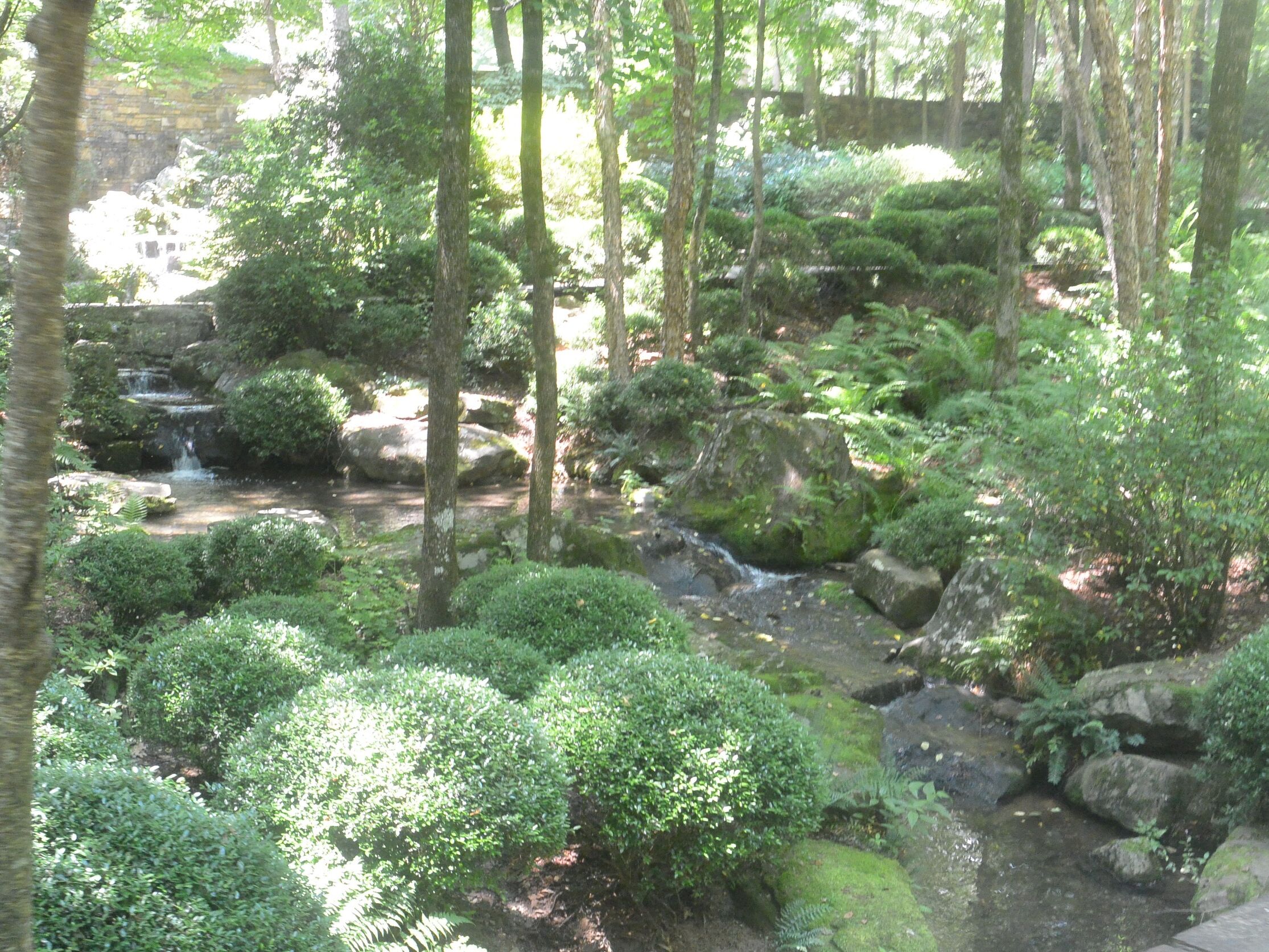 Picture of Garvan Woodland Gardens
