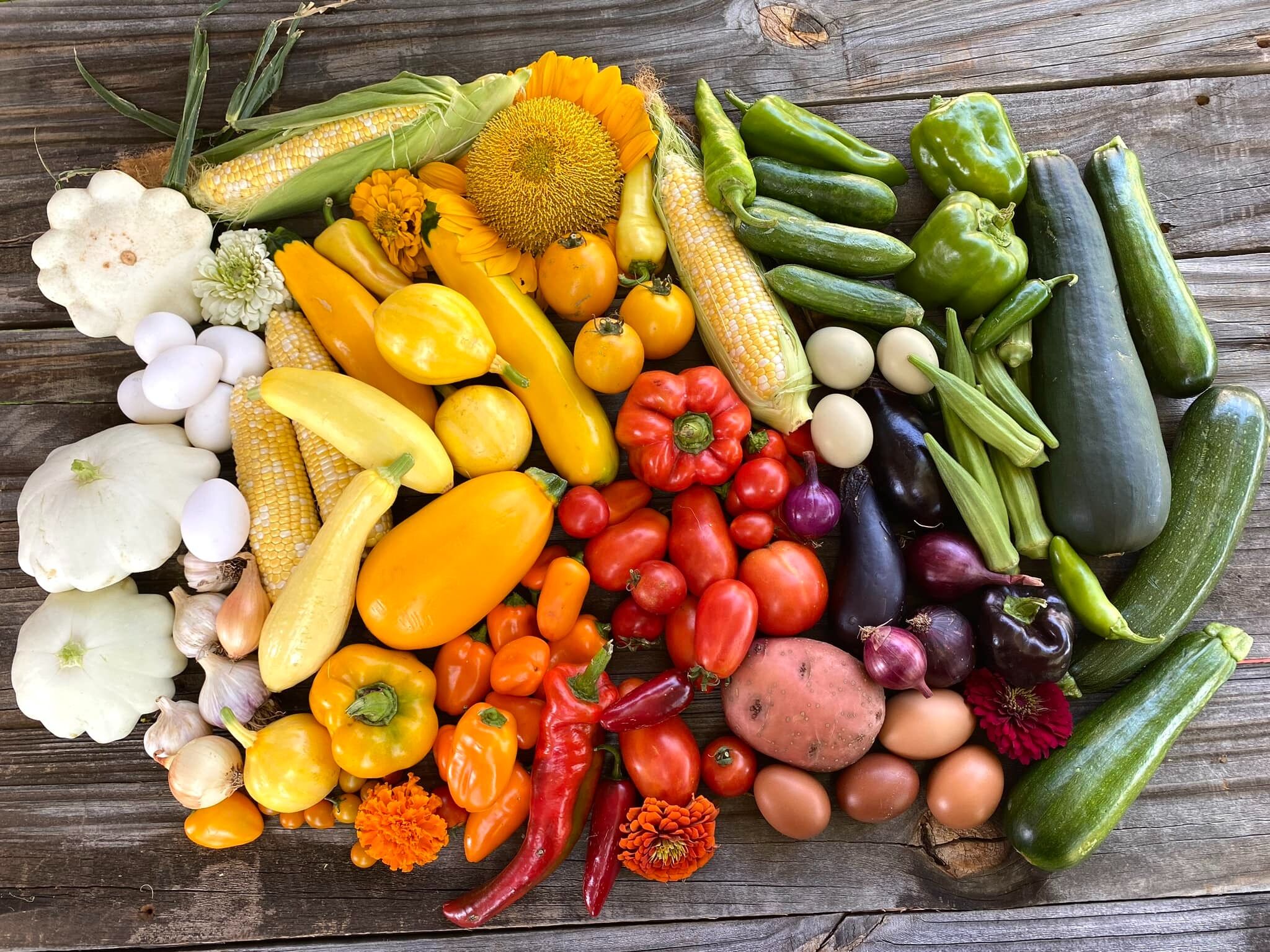 Picture of Mast Farms
