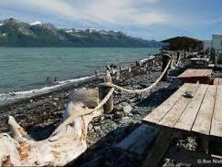 Picture of Millers Landing Annex Campground 