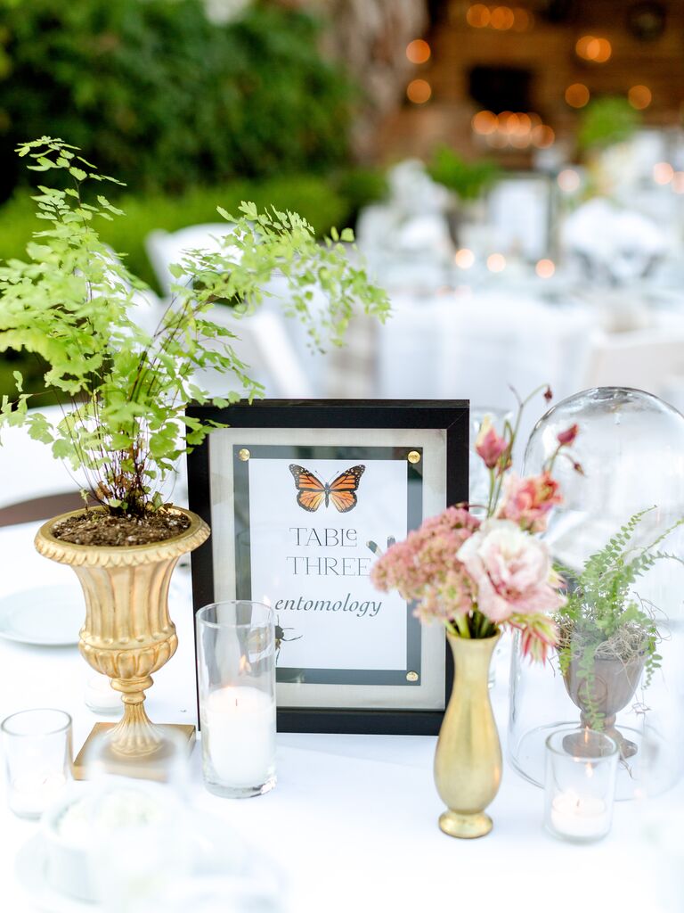 entomology-inspired table number