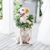 A Classic Cape Cod Wedding at Wequassett Resort & Golf Club in Harwich, Massachusetts