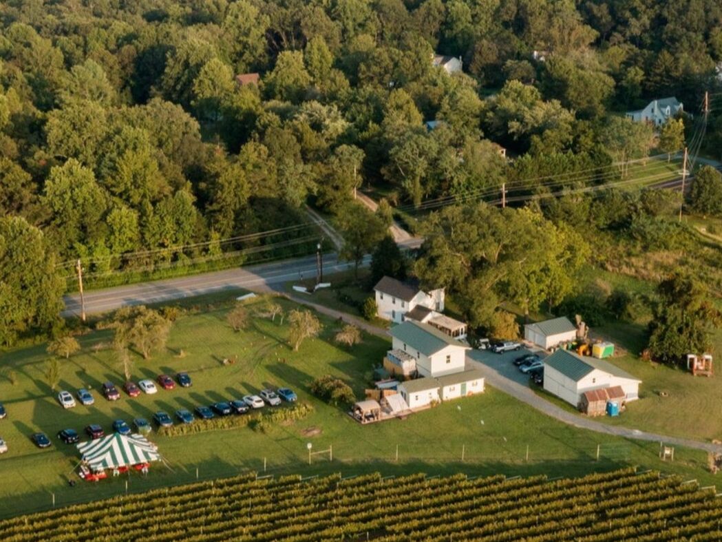 Picture of Turkey Point Vineyard