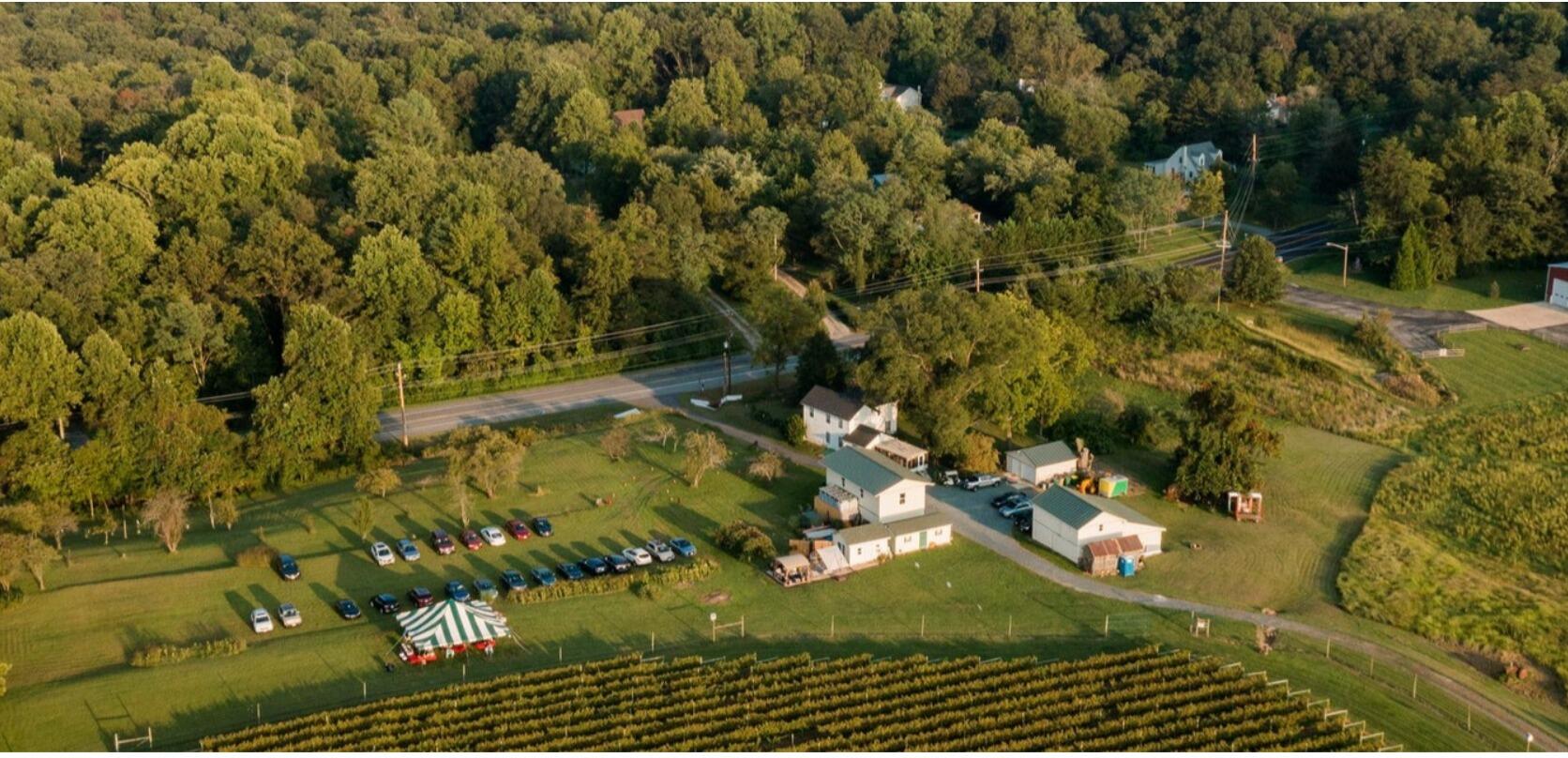 Picture of Turkey Point Vineyard