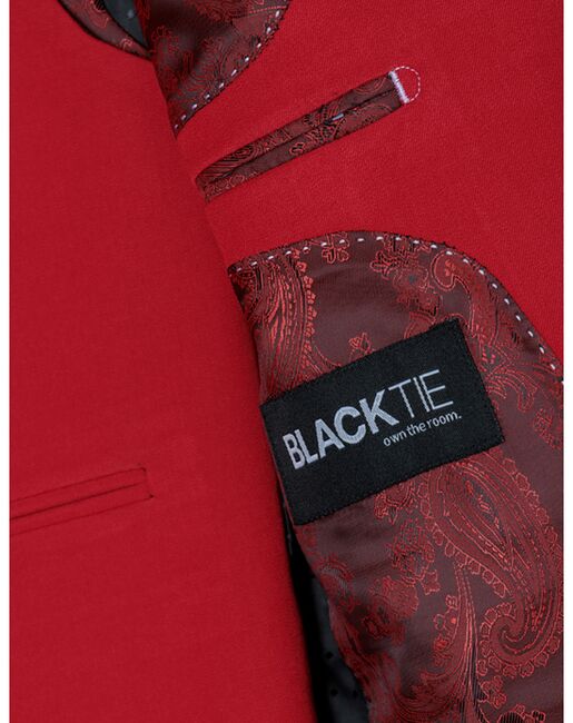 BLACKTIE "Liam" Red Suit (5-Piece Set) Flower Girl Dress and Ring Bearer Outfit - 2