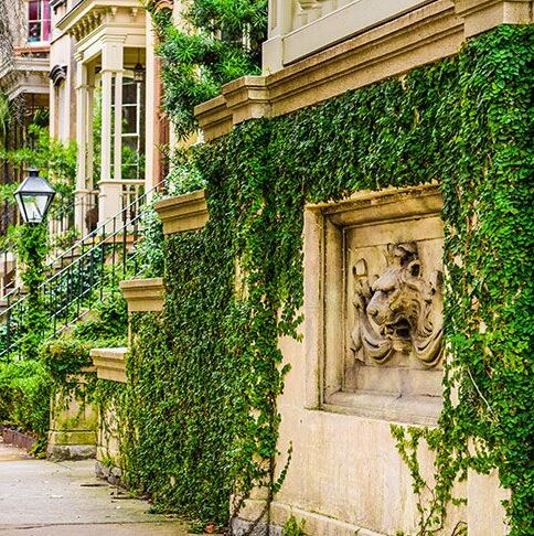 Picture of Airbnb/VRBO Savannah