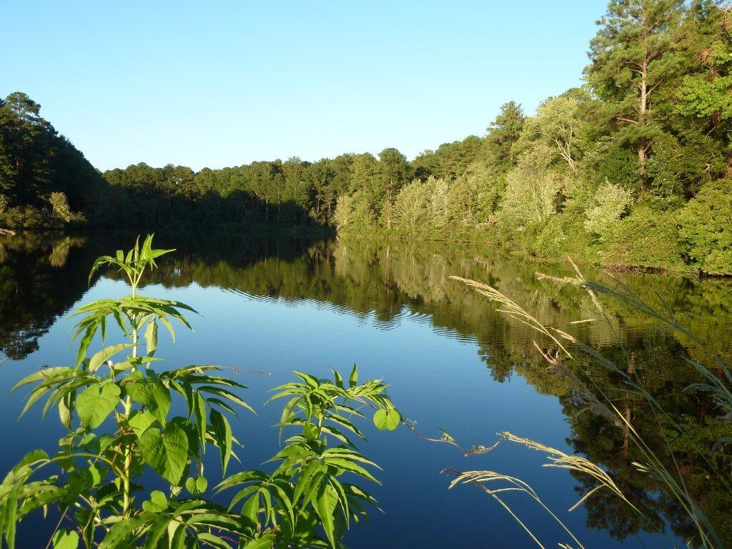 Picture of Peachtree Lake